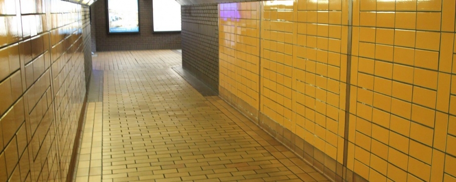 Disabled Access and the Subway
